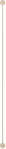 Vector 6 1 1